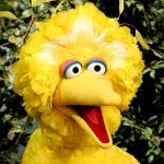 Big Bird of Sesame Street picture image