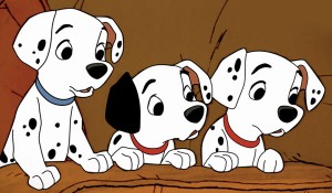 Puppies 101 Dalmatians picture image