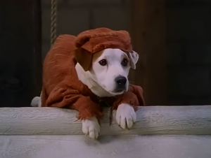 Wishbone as Quasimodo, The Hunchdog of Notre Dame, picture image