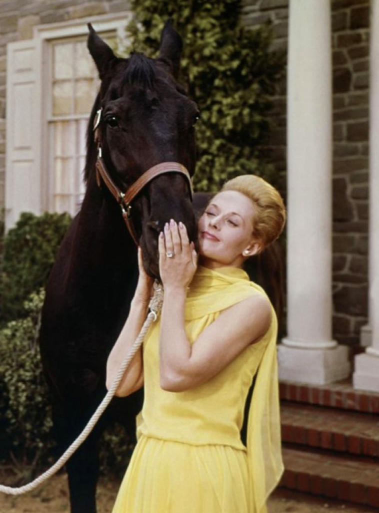 Marnie from Marnie (1964) Best Yellow Costumes, Gowns, & Dresses from Modern Set Movies